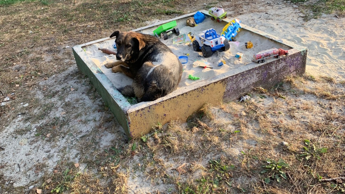 дитячий майданчик на Литвина