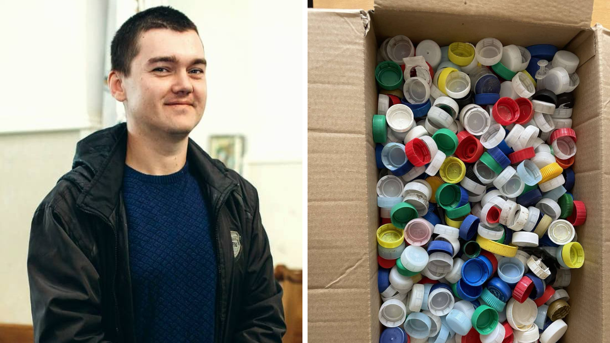 Калуш військвий кришечки