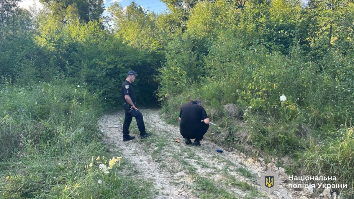 Стрілянина