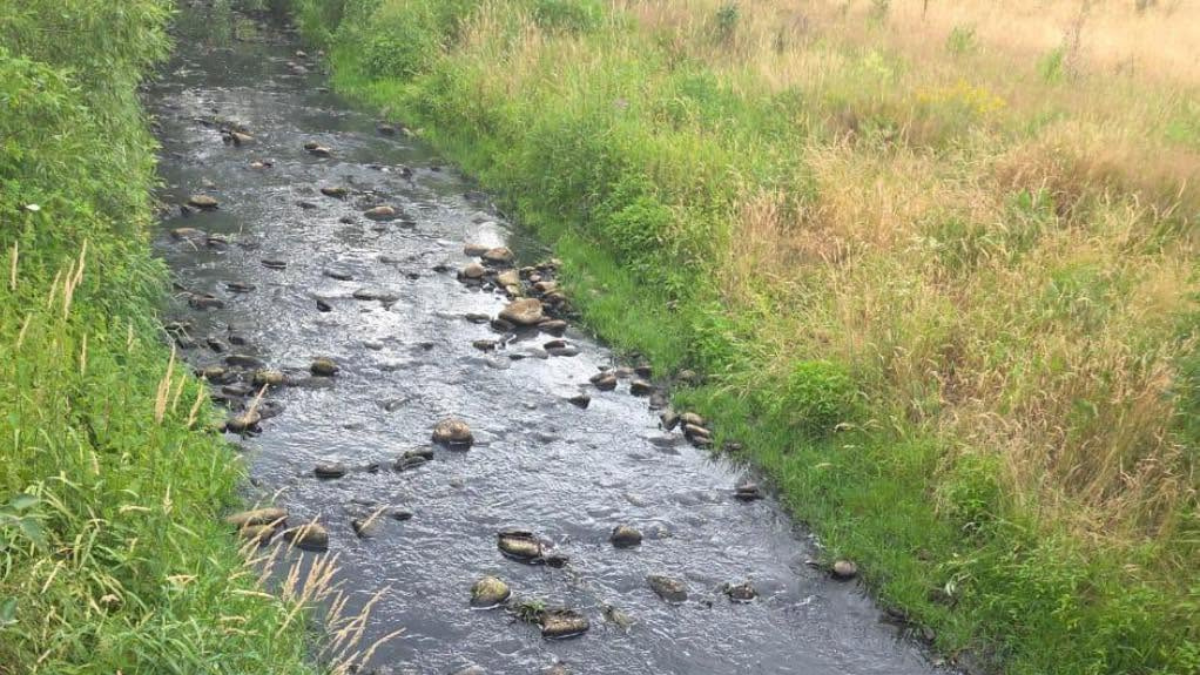 Спеціалісти взяли воду на дослідження з річок Саджава та Свіча