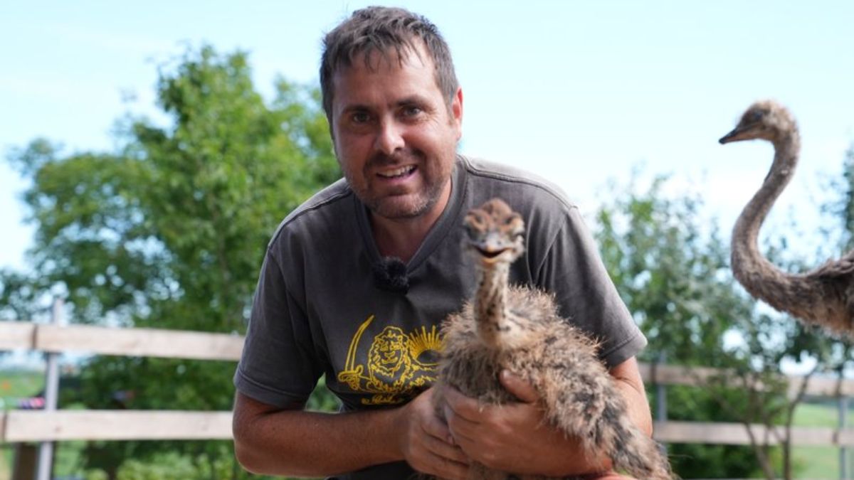 Страуси та сім'я