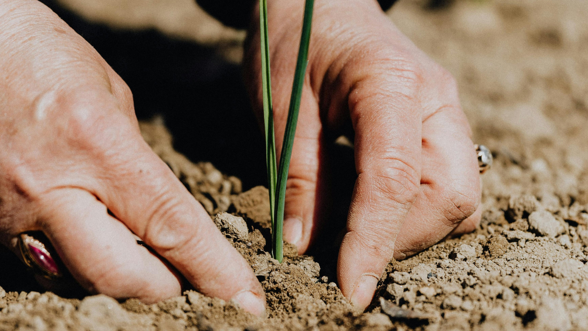 У Долині військові питають про землю. Влада шукатиме ділянки