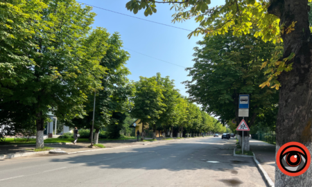 У Долині за минулий рік висадили понад 30 тисяч квітів, але дерев — жодного