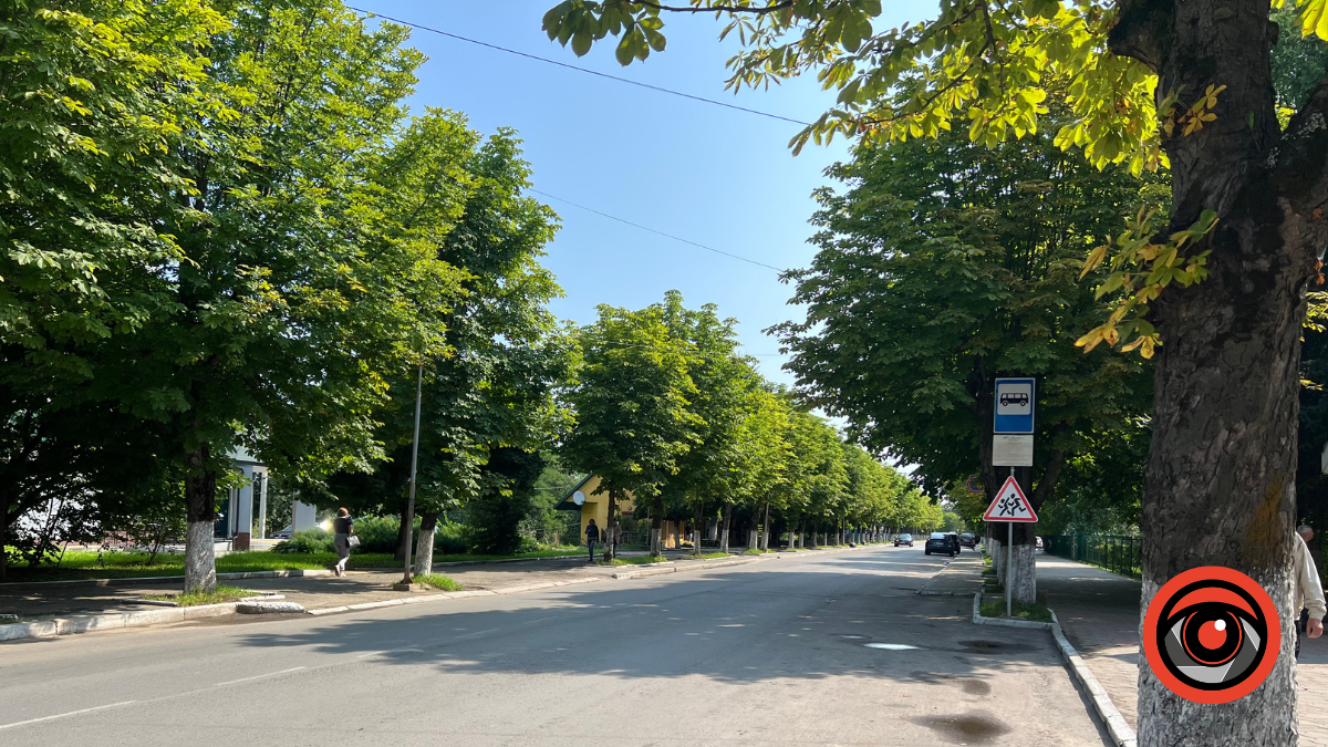 У Долині за минулий рік висадили понад 30 тисяч квітів, але дерев — жодного