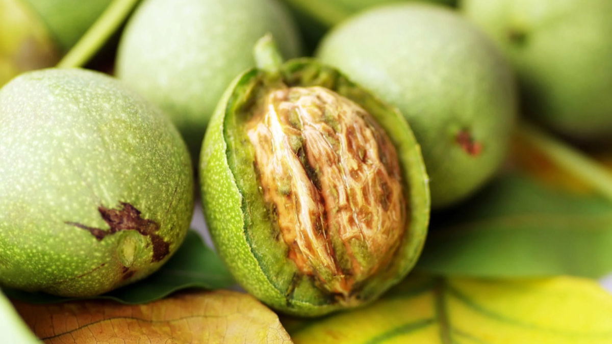 Шість причин, щоб додати волоські горіхи у свій раціон, поки вони ще зелені