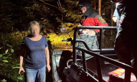 У лісі на Прикарпатті заблукала жінка, яка збирала гриби