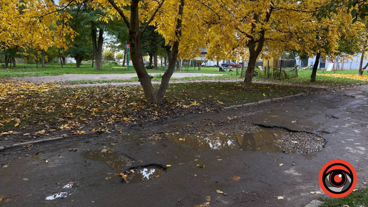 Жителі Калуша просять відремонтувати дорогу — ями там вже понад десятиліття