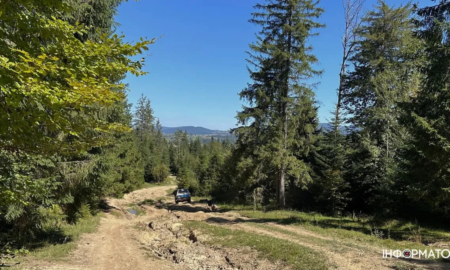 Заборона є, але їздити продовжують: де в Карпатах все ж дозволений джипінг?