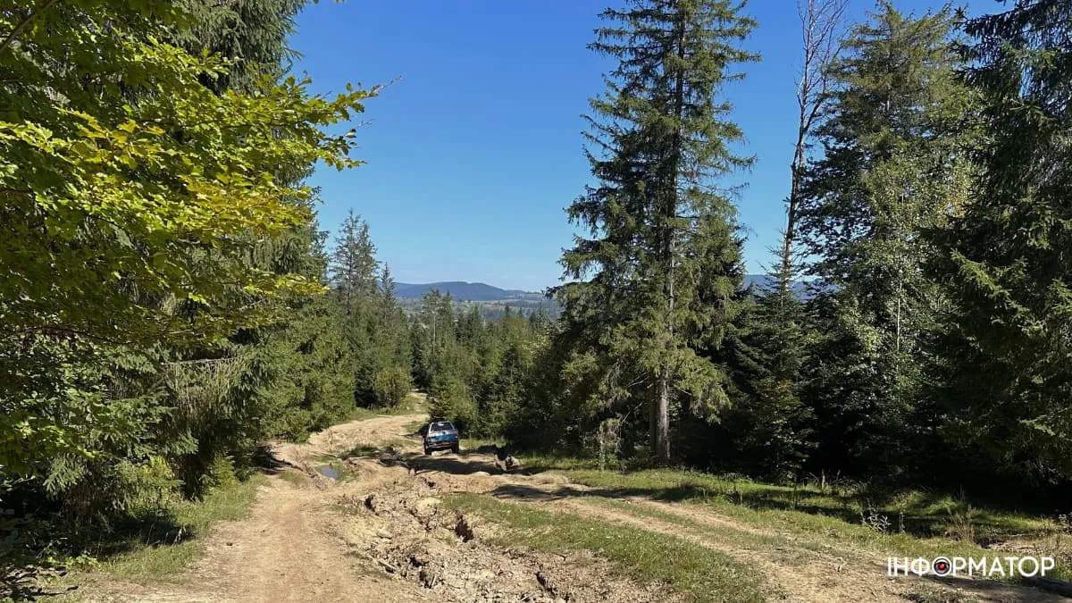 Заборона є, але їздити продовжують: де в Карпатах все ж дозволений джипінг?