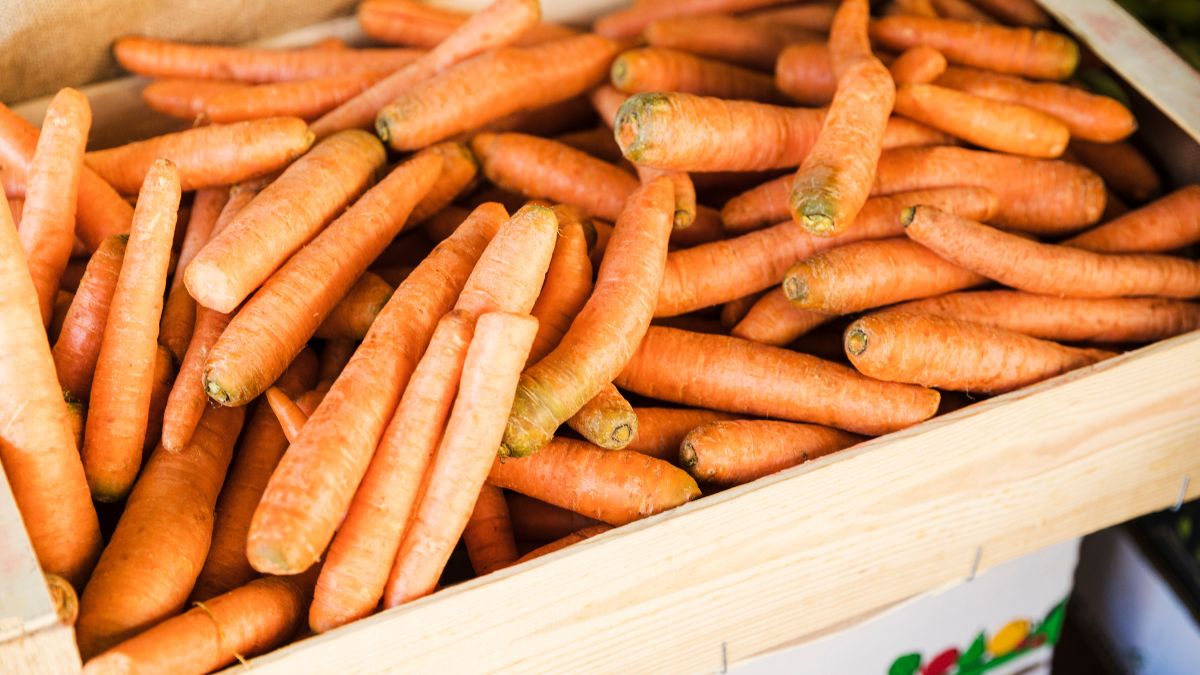 Як зберегти моркву до весни: простий спосіб, який допоможе уникнути гниття