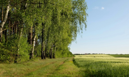 На Калущині знешкодили боєголовку крилатої ракети