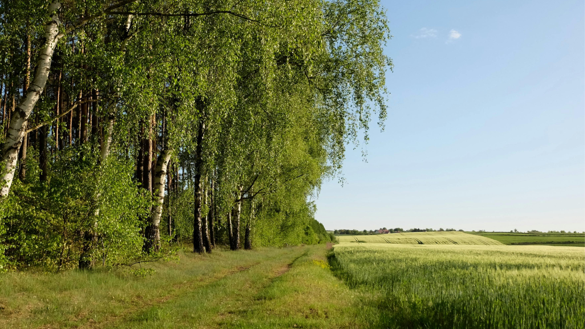 На Калущині знешкодили боєголовку крилатої ракети