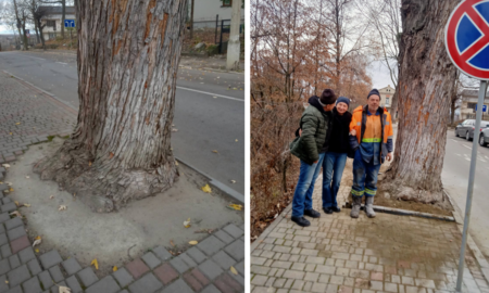 У Калуші комунальники звільнили дерево, яке раніше закували у бетон