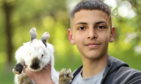 юнак розмножує кроликів