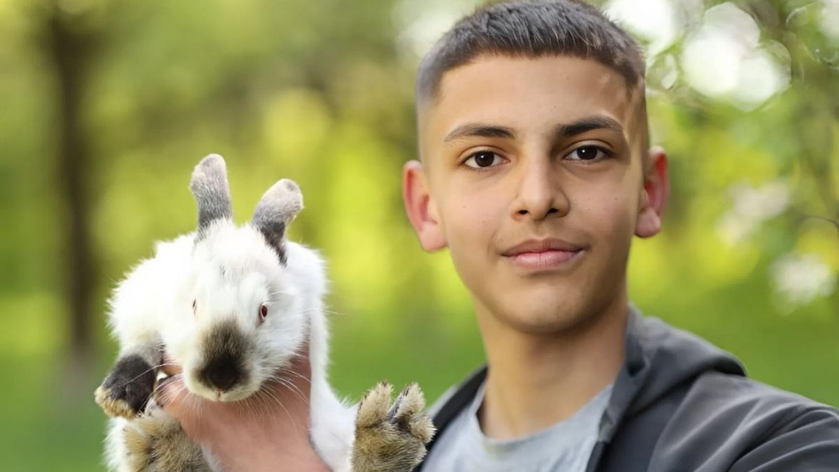 юнак розмножує кроликів