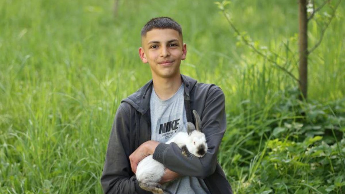 юнак мініферма з кролями