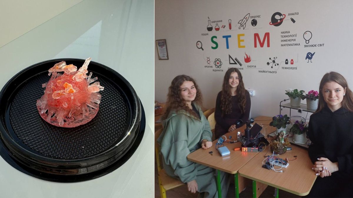 учні-дослідники розмножили кристал