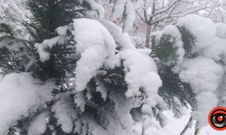 прогноз погоди