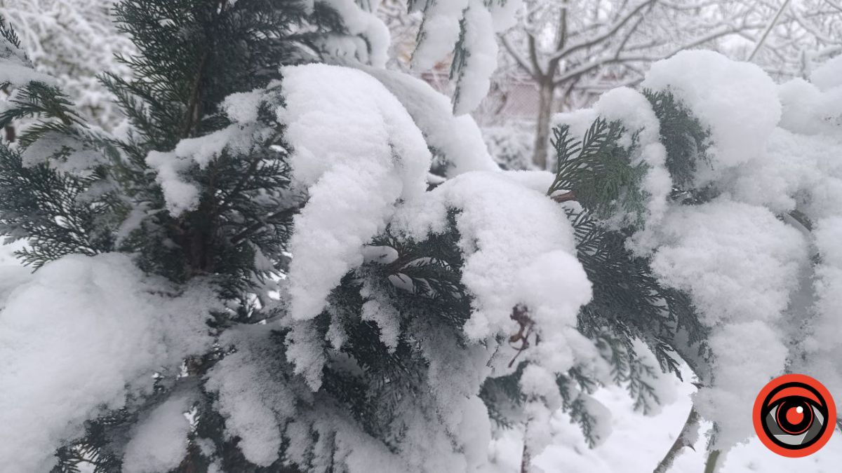 прогноз погоди