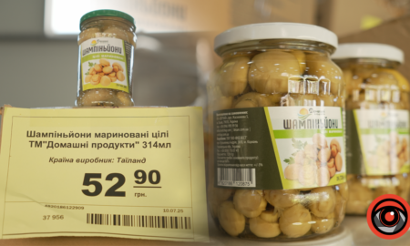 shampiniony_dyvocin