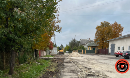 У Калуші на одній із вулиць планують видалити 17 вишень