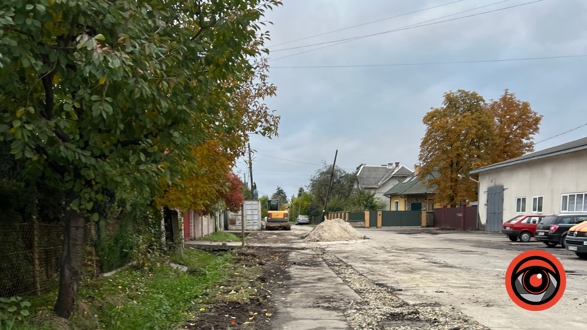 У Калуші на одній із вулиць планують видалити 17 вишень