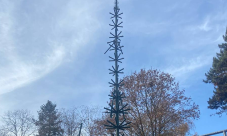 В обласному центрі Прикарпаття вже почали монтувати новорічну ялинку | ФОТОФАКТ