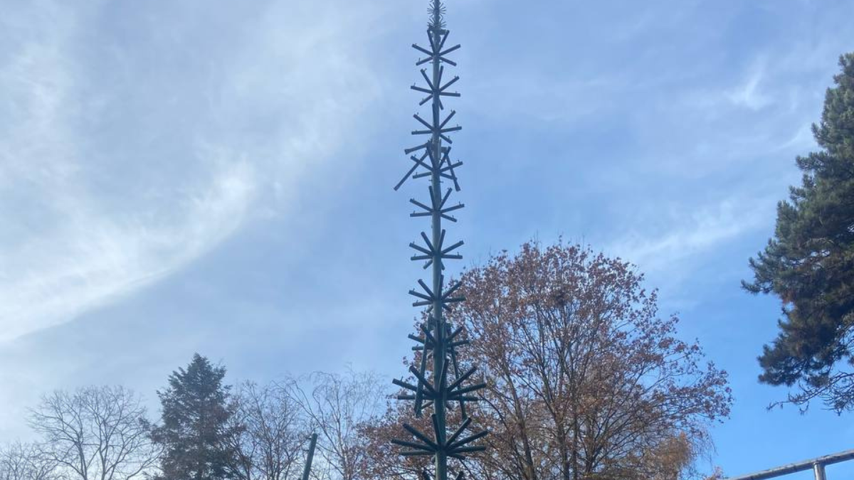 В обласному центрі Прикарпаття вже почали монтувати новорічну ялинку | ФОТОФАКТ