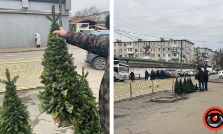 Де можна буде придбати ялинку?