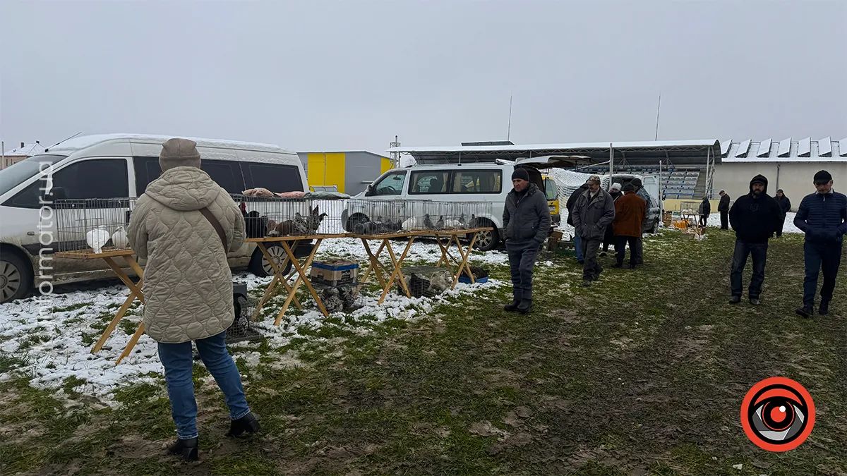 у Королівці провели ярмарок домашніх тварин