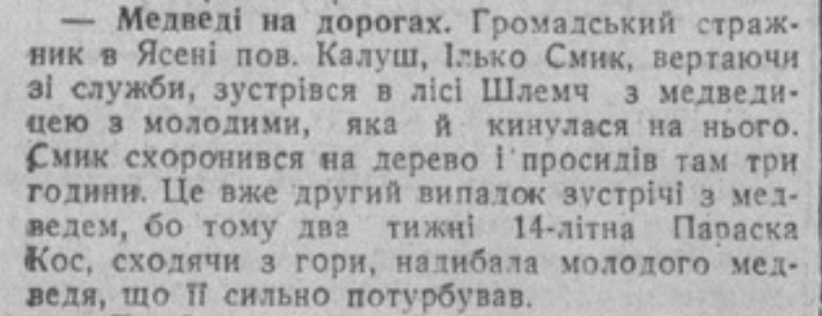 У 1933 році у Ясені, що на Рожнятівщині ведмеді лякали місцевих жителів