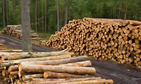 Деревина для ремонту моста у Новому Мізуні виявилася закороткою