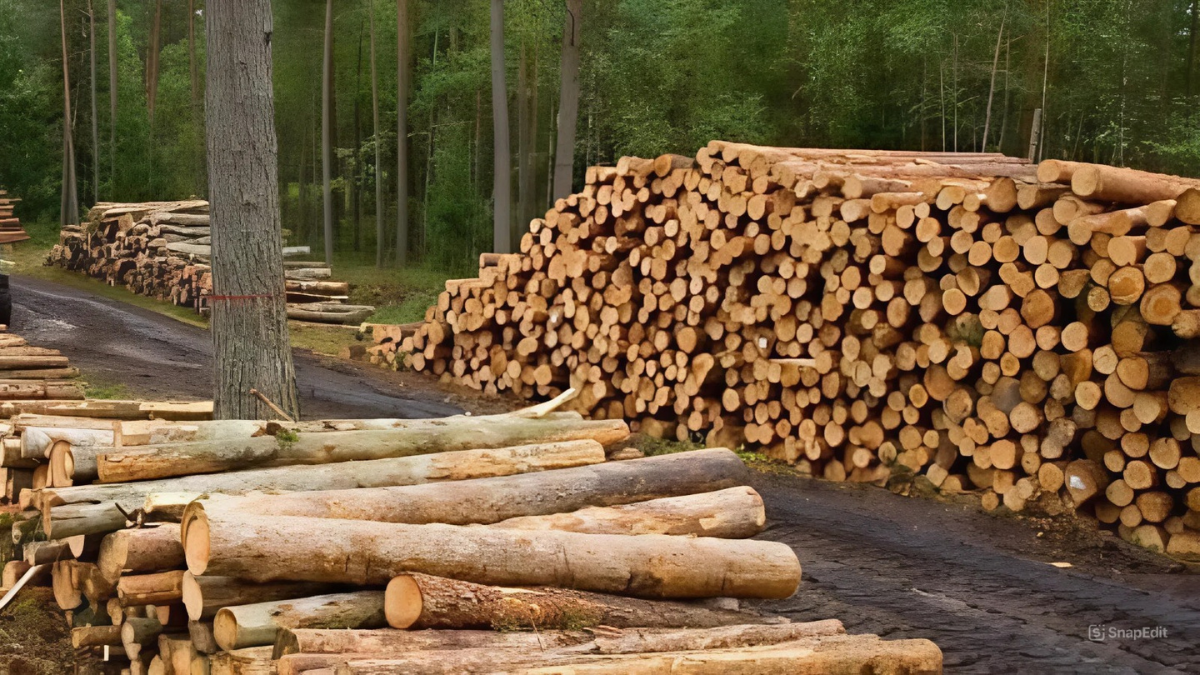 Деревина для ремонту моста у Новому Мізуні виявилася закороткою