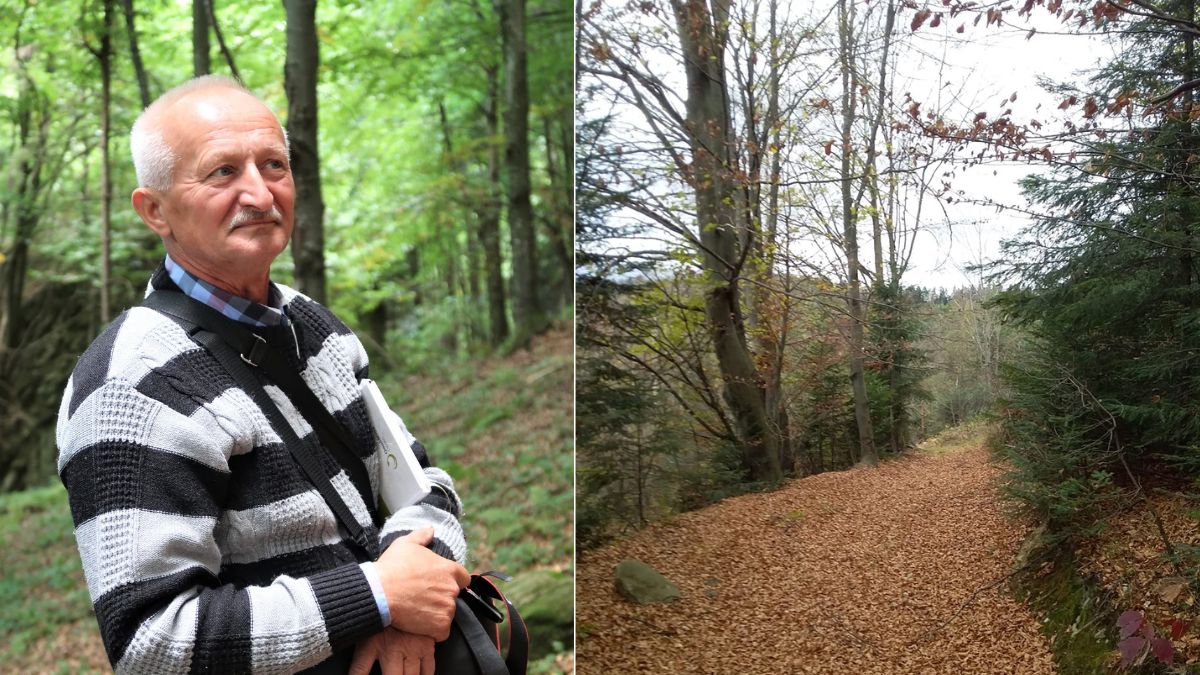 сова живу поруч з будинком