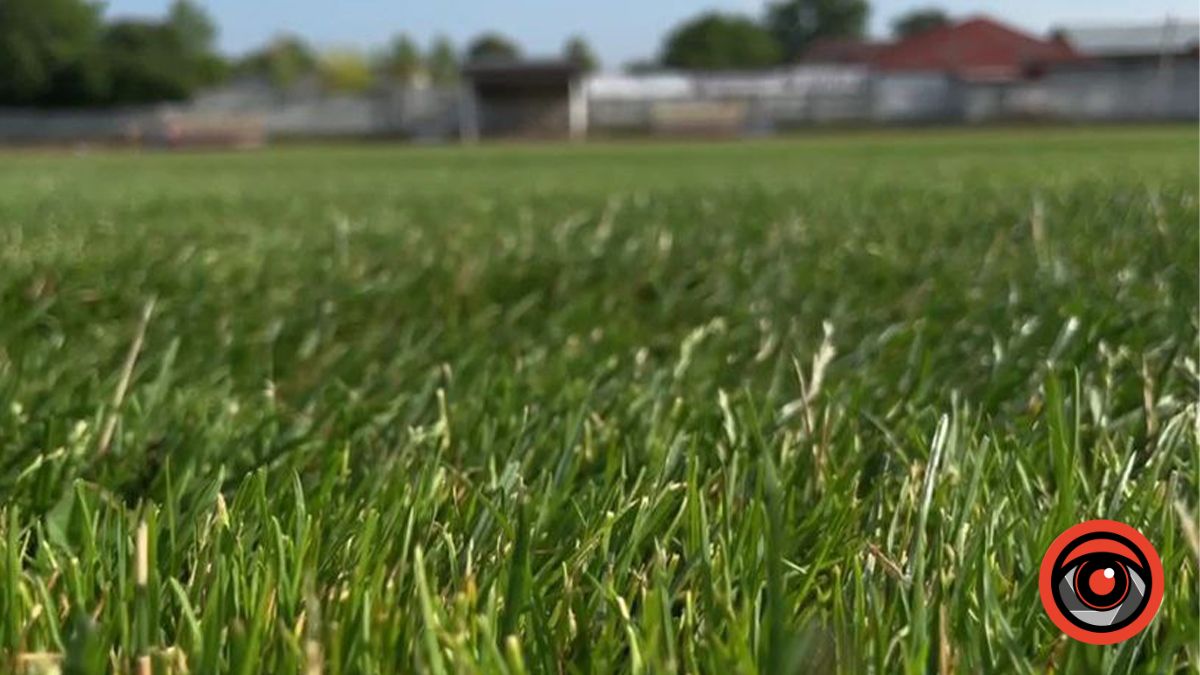 Стадіон у Середньому Бабиному нищать невідомі люди