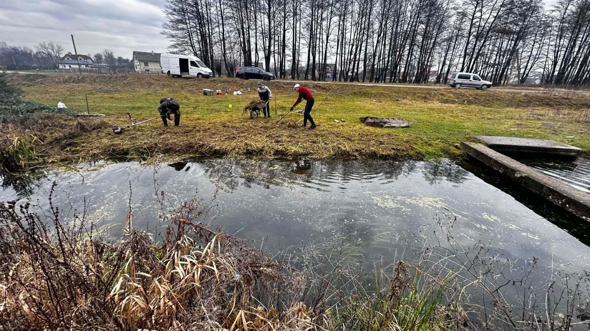 толока у Голині