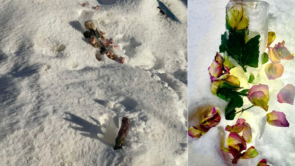 Рожнятівець робить арт-інсталяцію з троянд