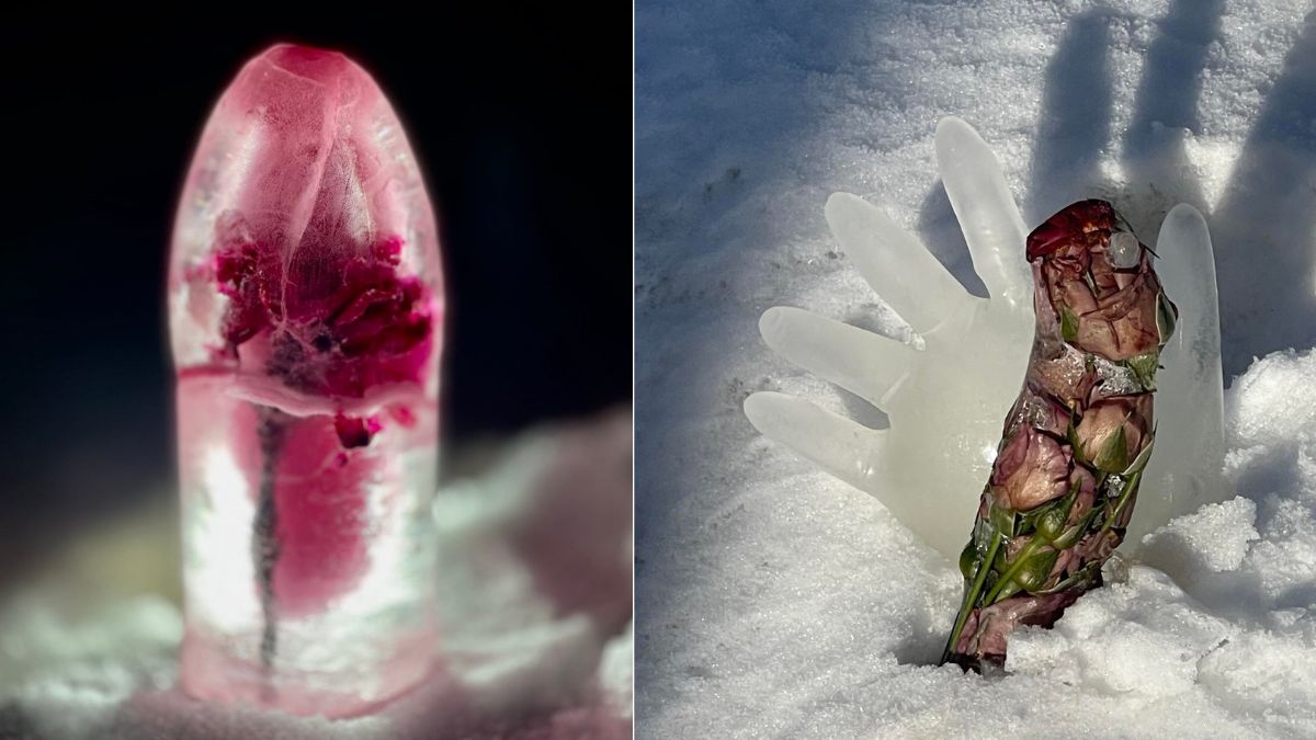 Рожнятівець робить арт-інсталяцію з троянд