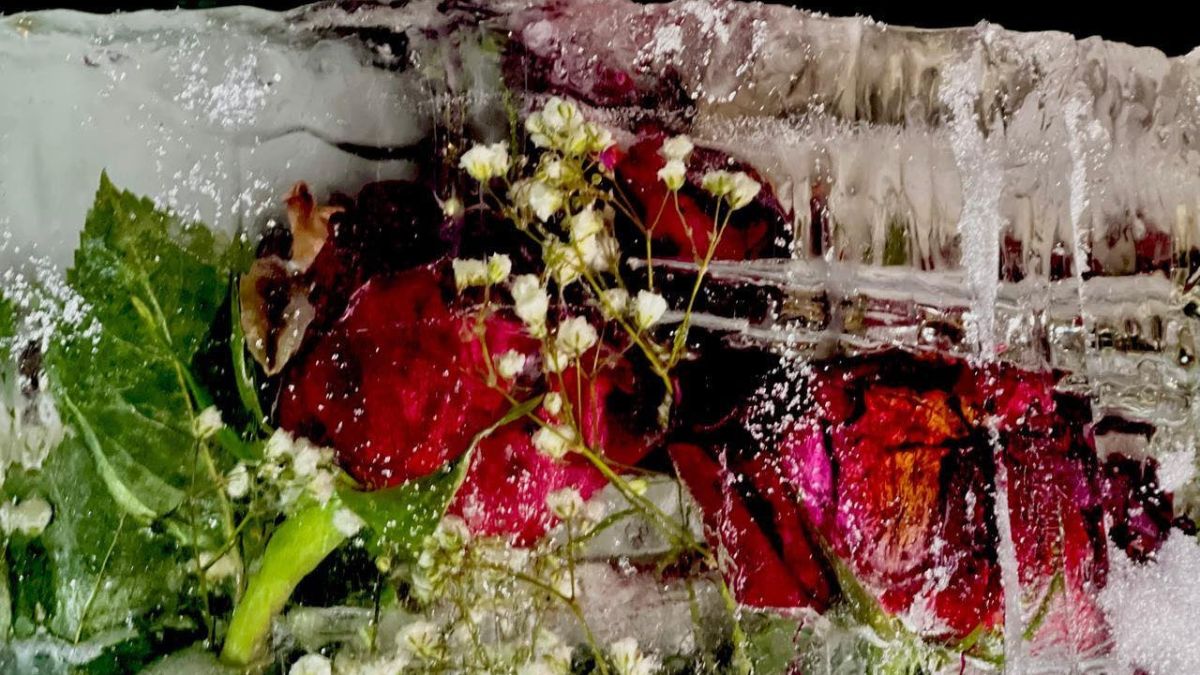 Рожнятівець робить арт-інсталяцію з троянд