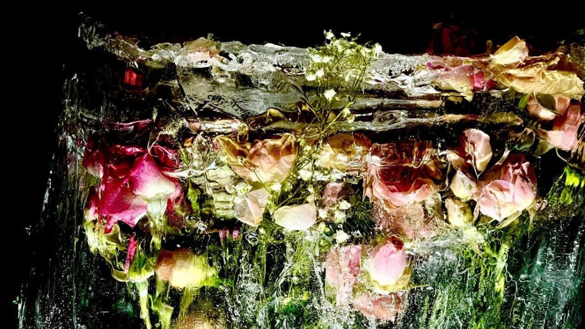 Рожнятівець робить арт-інсталяцію з троянд