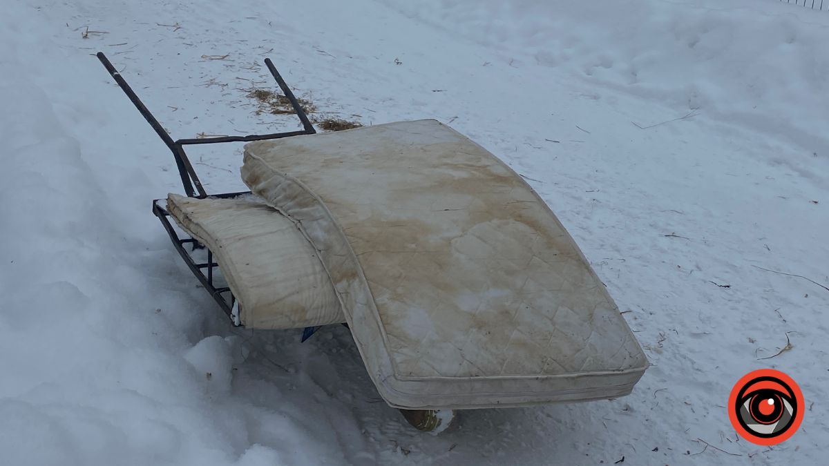 Калушани зносять теплі речі для собак, проте у притулку досі бракує рук