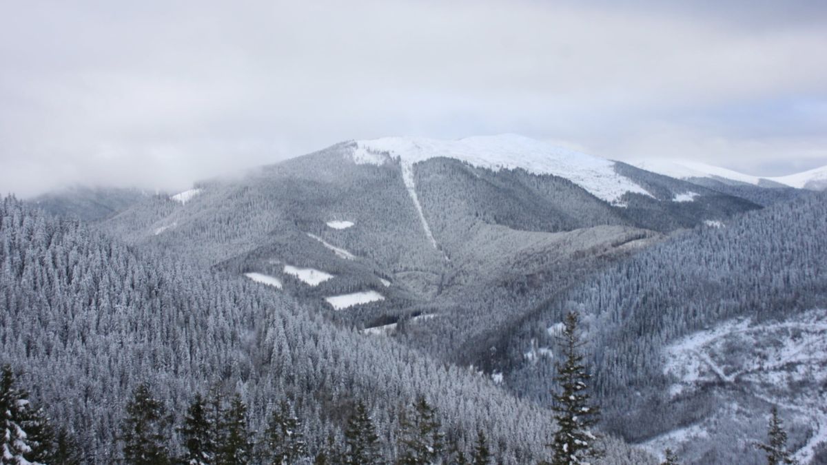 засніжені гори