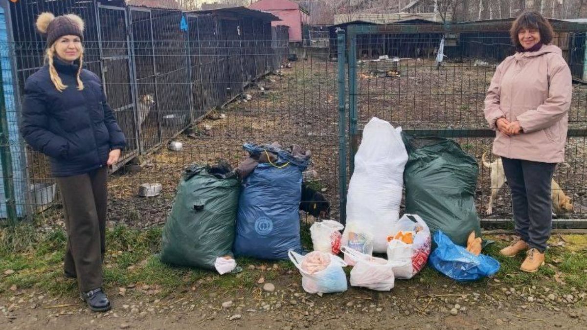 Ліцеїсти та волонтери передали корм і продукти притулку «Дім Сірка»