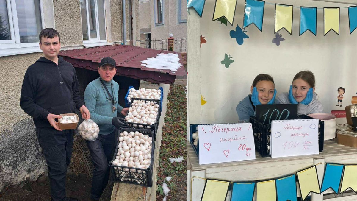 Вирощування печериць у Тисівському ліцеї