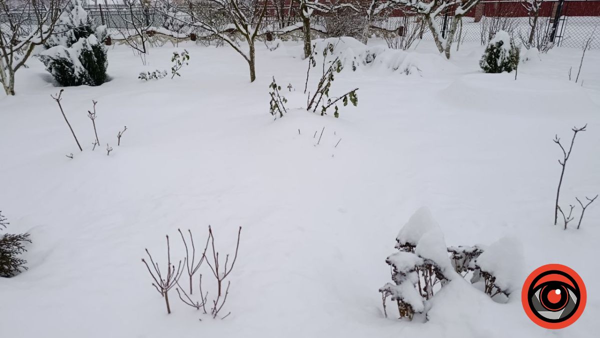 підживлення саду взимку