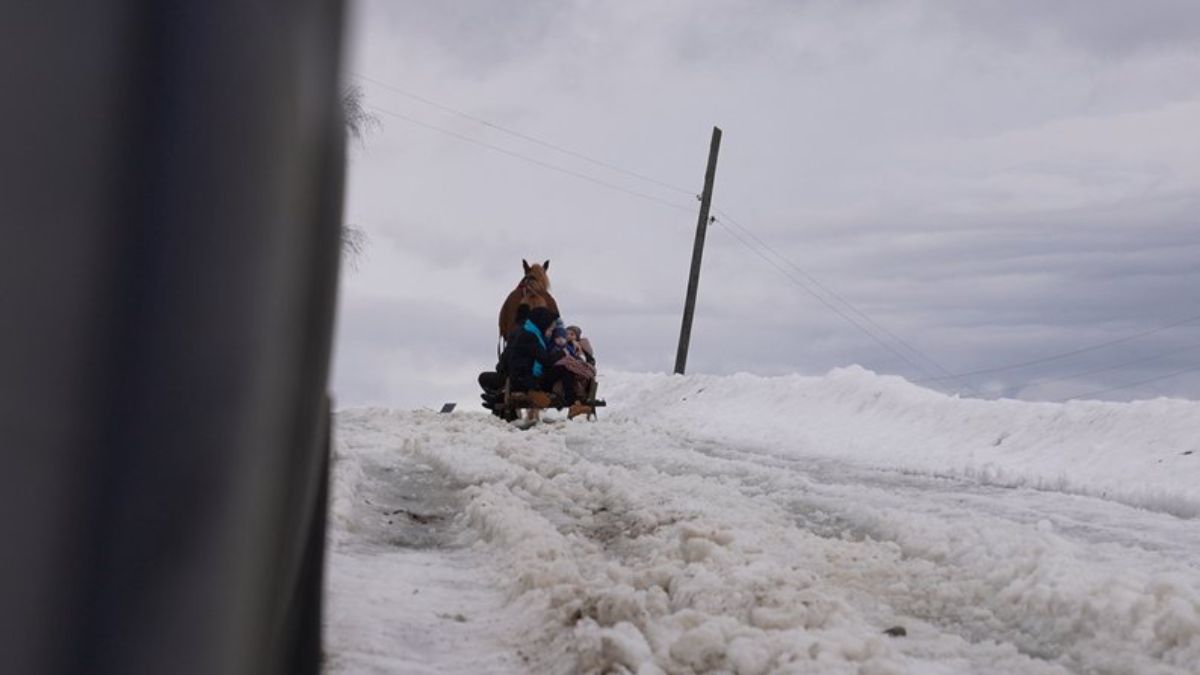 Дорога у Сенечів