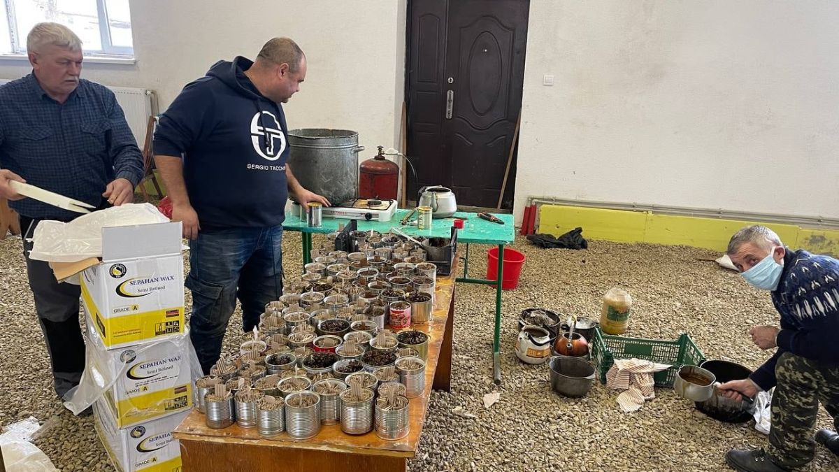 Вітки Єдності у Витвиці