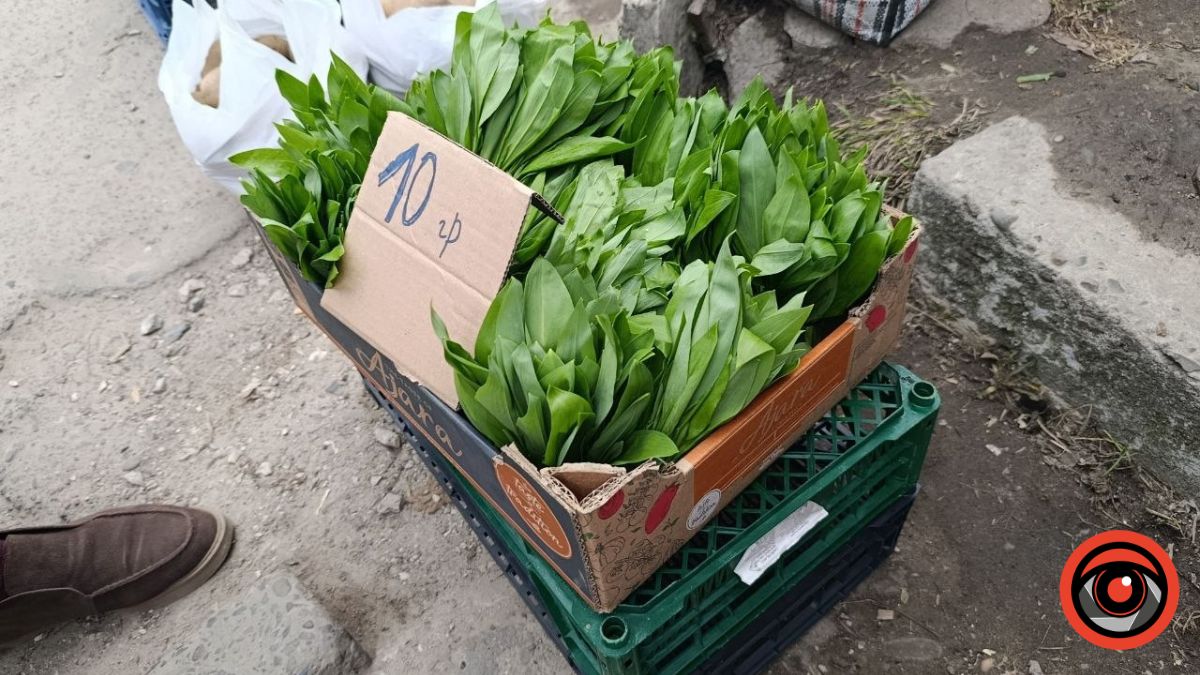 У Калуші продають черемшу