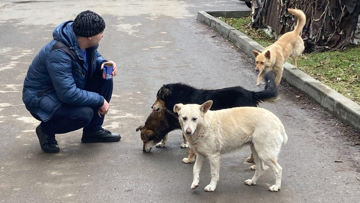 8 цуценят викинули помирати у смітник у Долині