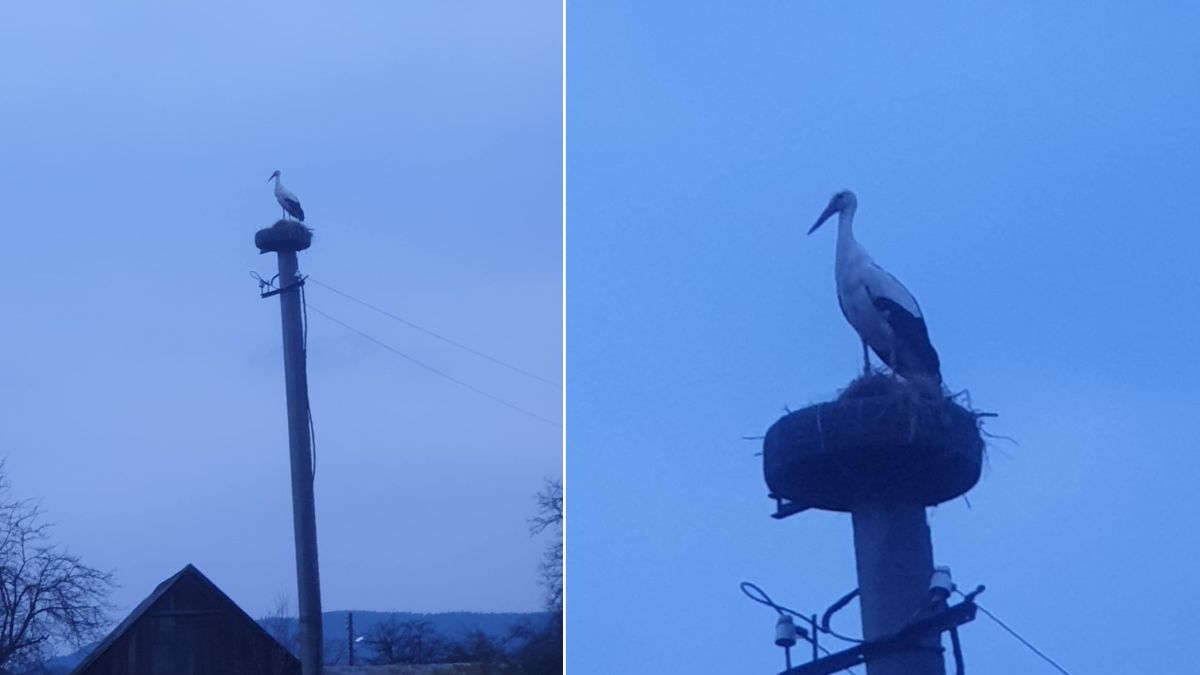 На Калущині люди встановили колесо лелеці